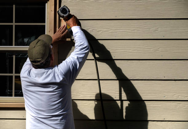 Best Historical Building Siding Restoration  in St Paul, VA